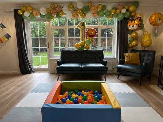 Ball Pit Soft Play